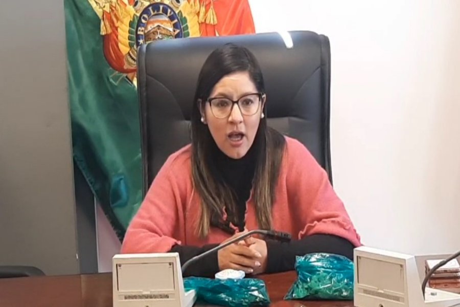 Lissa Claros diputada boliviana de Alianza Libre