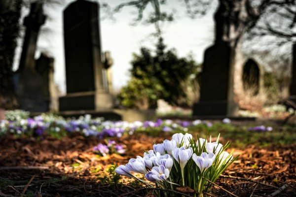 Cementerio crecen flores