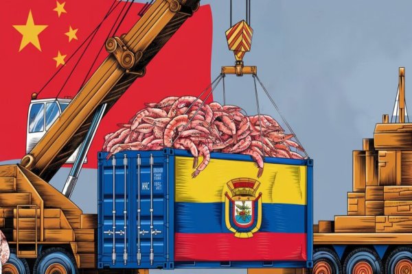 Tratado de Libre Comercio china y Ecuador